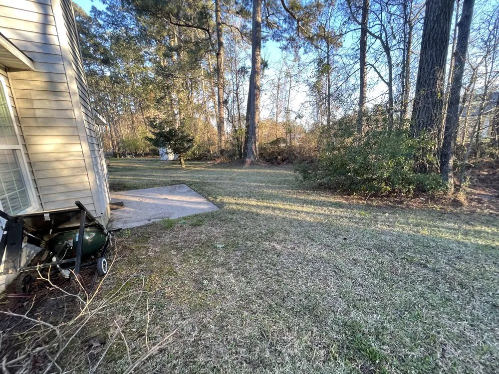 Professional yard cleanup service for outdoor upgrades in New Bern, NC by Testament Lawn Care