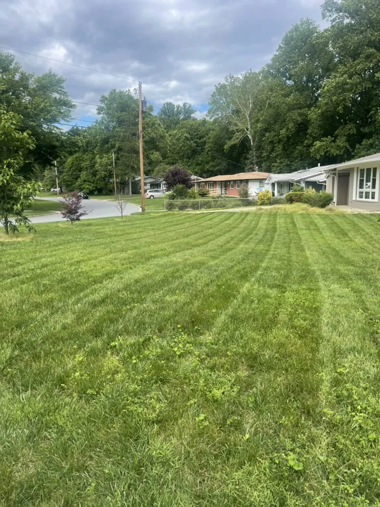 Top-rated yard cleanup service in New Bern, NC - Testament Lawn Care