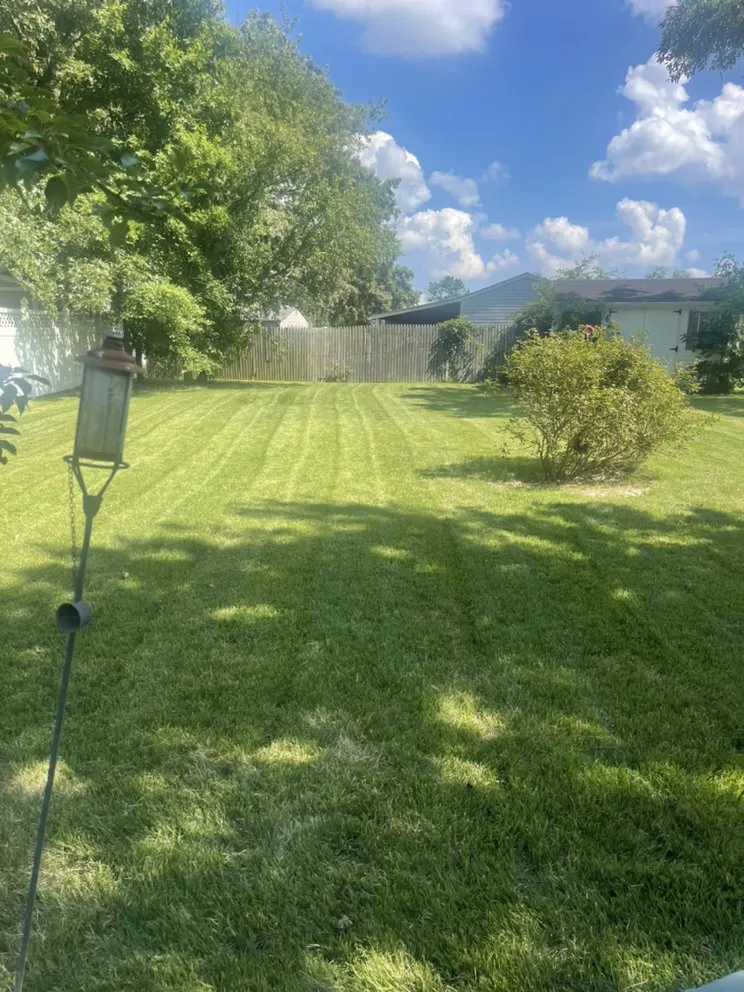 Expert yard cleanup service in New Bern, NC by Testament Lawn Care