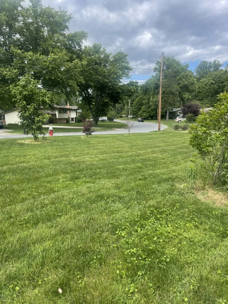 Custom lawn mowing service for outdoor upgrades across New Bern, NC - Testament Lawn Care