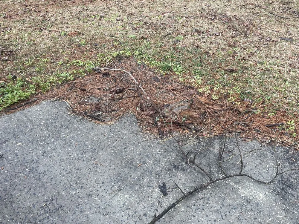 Affordable outdoor landscaping in New Bern, NC - Testament Lawn Care