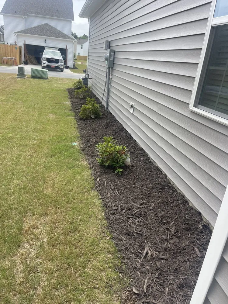 Top-rated lawn care service experts serving New Bern, NC - Testament Lawn Care