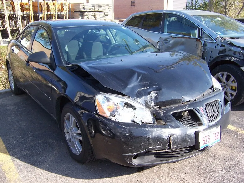 Top-rated landscape design for year-round maintenance in New Bern, NC by Testament Lawn Care