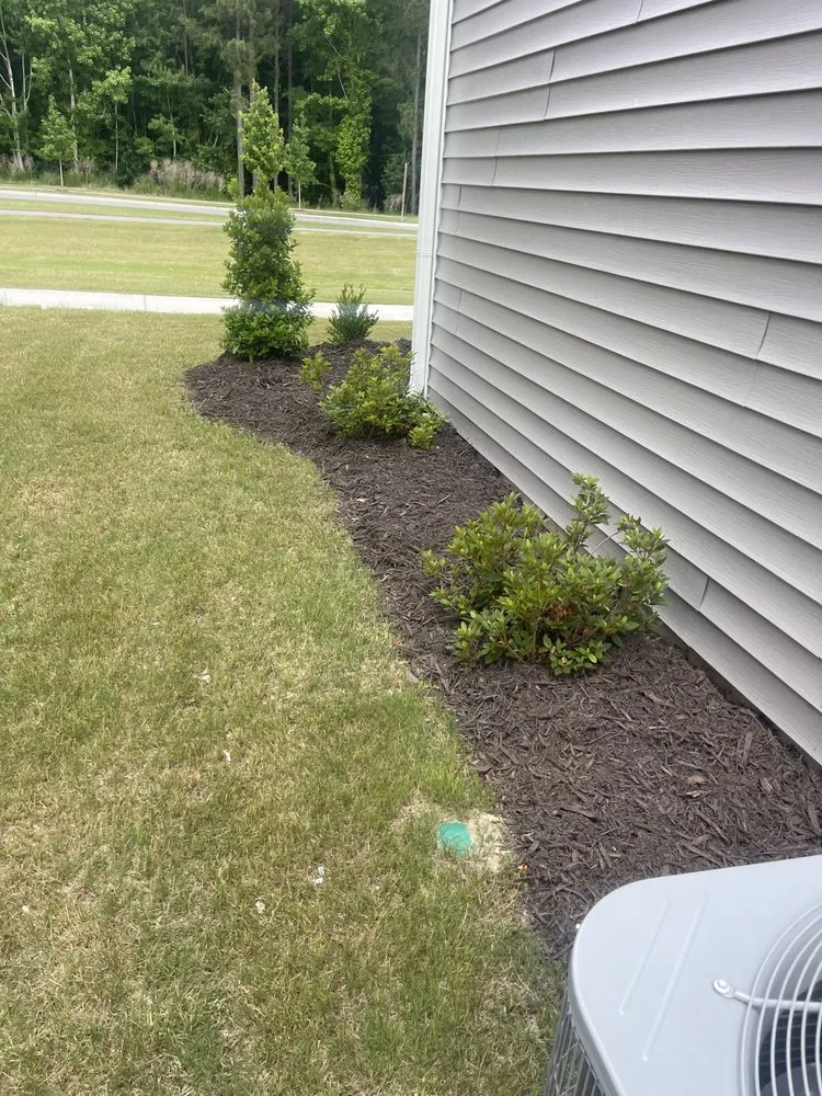 Trusted landscape installation experts serving New Bern, NC - Testament Lawn Care