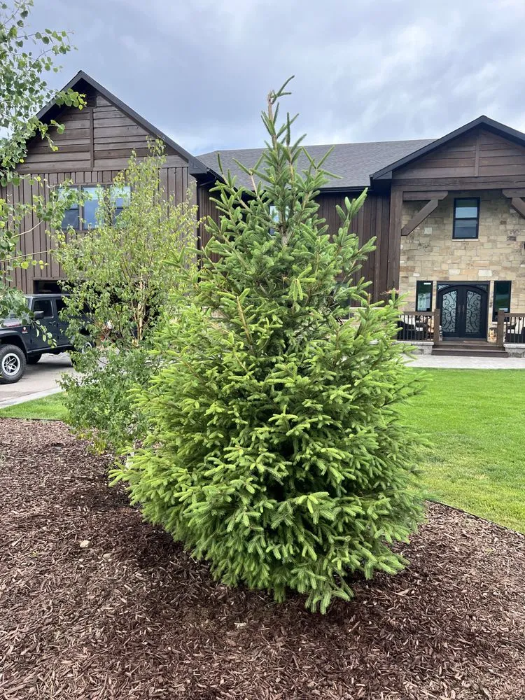 Top-rated landscaping services experts serving Victor, ID - Teton Evergreens