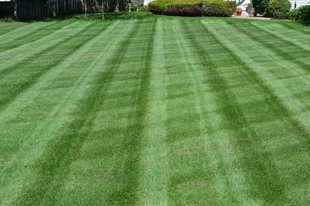 Top-rated yard cleanup service experts serving Holden, MA - Tetreault Landscaping