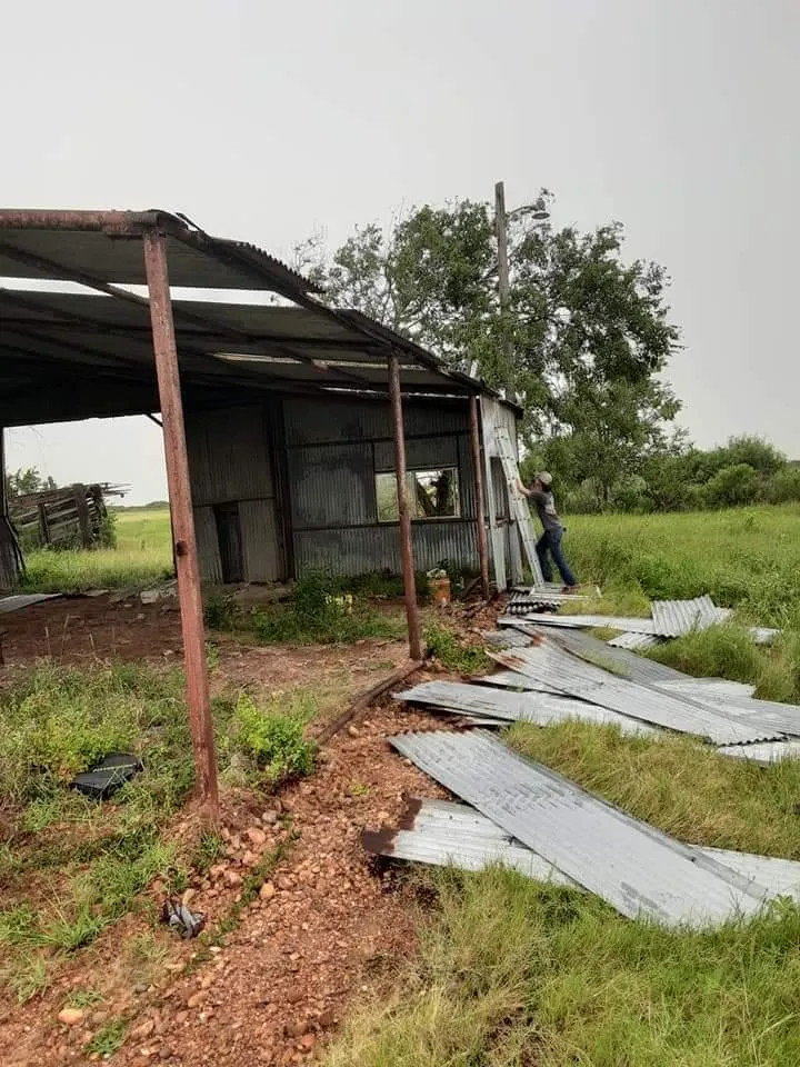 Custom yard cleanup service in Wilson, NC - Tetrion Property Solutions