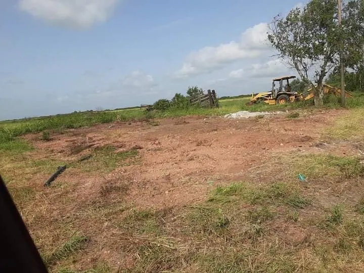 Affordable residential landscaping for residential properties across Wilson, NC - Tetrion Property Solutions