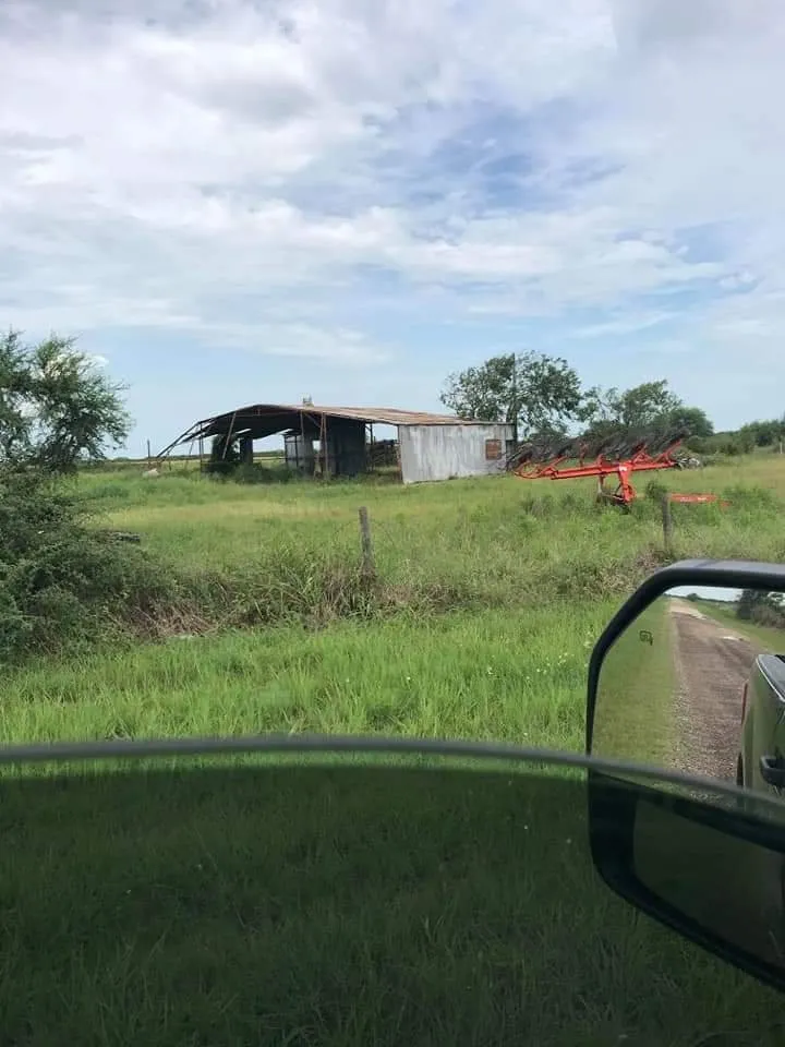 Top-rated residential landscaping experts serving Wilson, NC - Tetrion Property Solutions