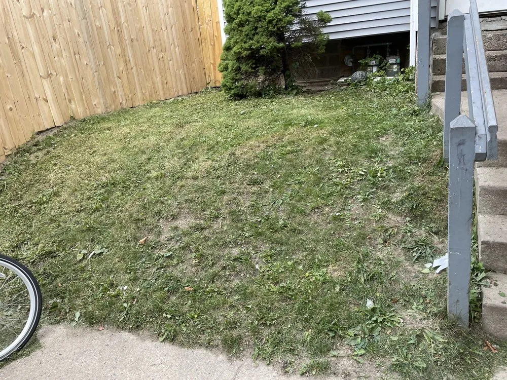 Trusted lawn care service in Milwaukee, WI by Tevin & Sons Lawn Care & Snow Removal