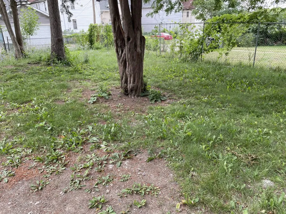 Reliable landscape design in Milwaukee, WI by Tevin & Sons Lawn Care & Snow Removal