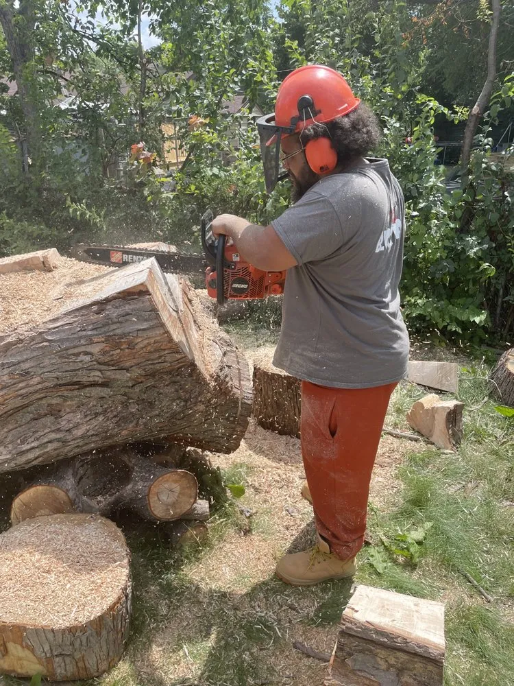 Custom yard cleanup service in Milwaukee, WI by Tevin & Sons Lawn Care & Snow Removal