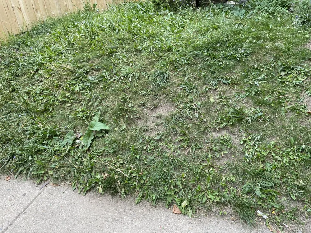 Top-rated garden landscaping for homes across Milwaukee, WI - Tevin & Sons Lawn Care & Snow Removal