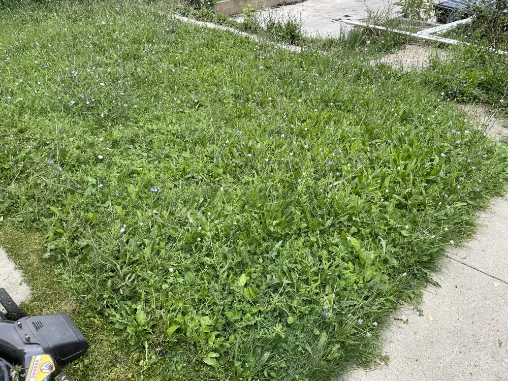 Affordable landscaping services near you in Milwaukee, WI by Tevin & Sons Lawn Care & Snow Removal