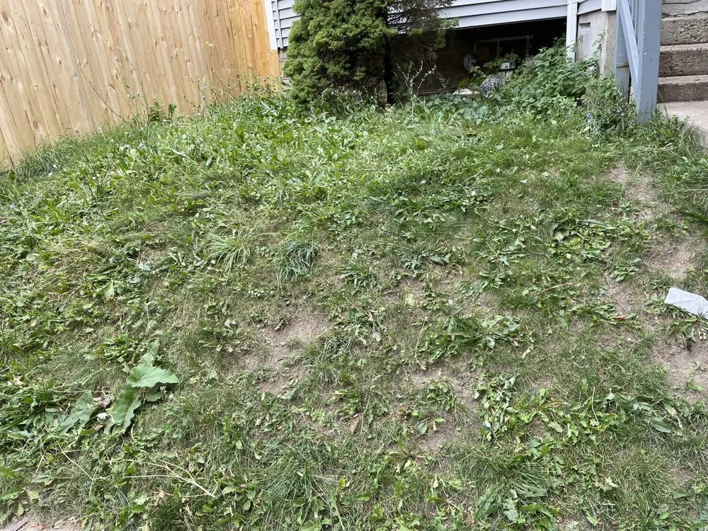 Affordable lawn care service experts serving Milwaukee, WI - Tevin & Sons Lawn Care & Snow Removal