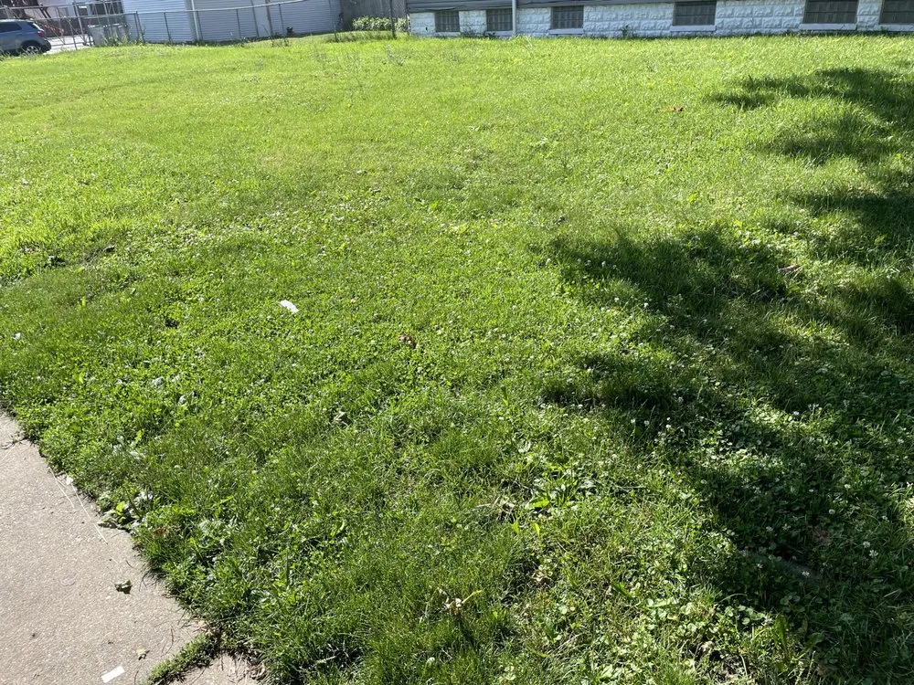 Top-rated lawn care service for outdoor upgrades in Milwaukee, WI by Tevin & Sons Lawn Care & Snow Removal