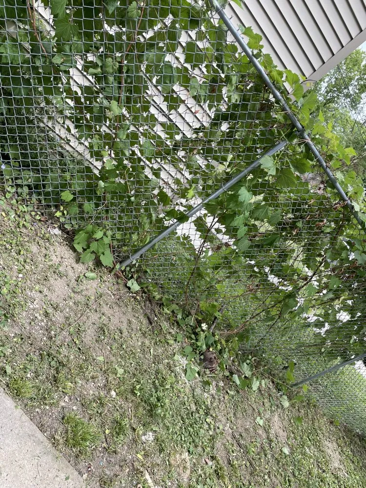 Reliable yard maintenance for residential properties across Milwaukee, WI - Tevin & Sons Lawn Care & Snow Removal