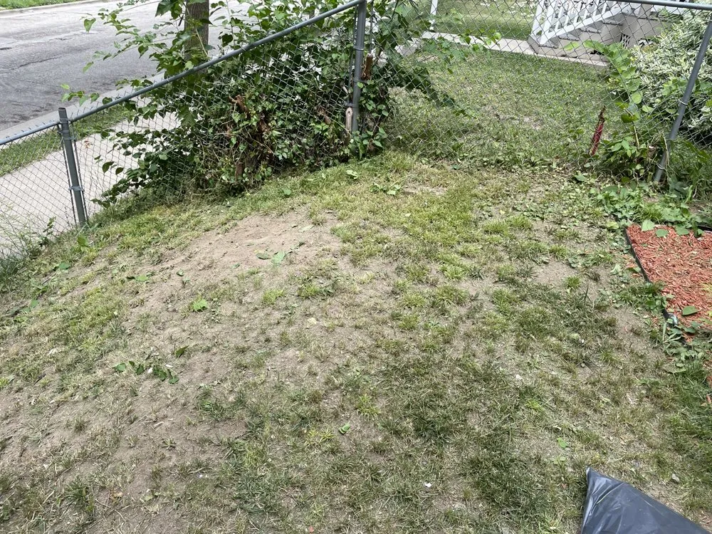 Trusted outdoor landscaping in Milwaukee, WI by Tevin & Sons Lawn Care & Snow Removal