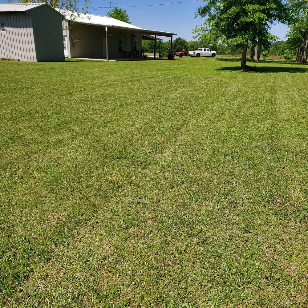 Professional outdoor landscaping for beautiful yards in Slocomb, AL by Tew Lawn Care