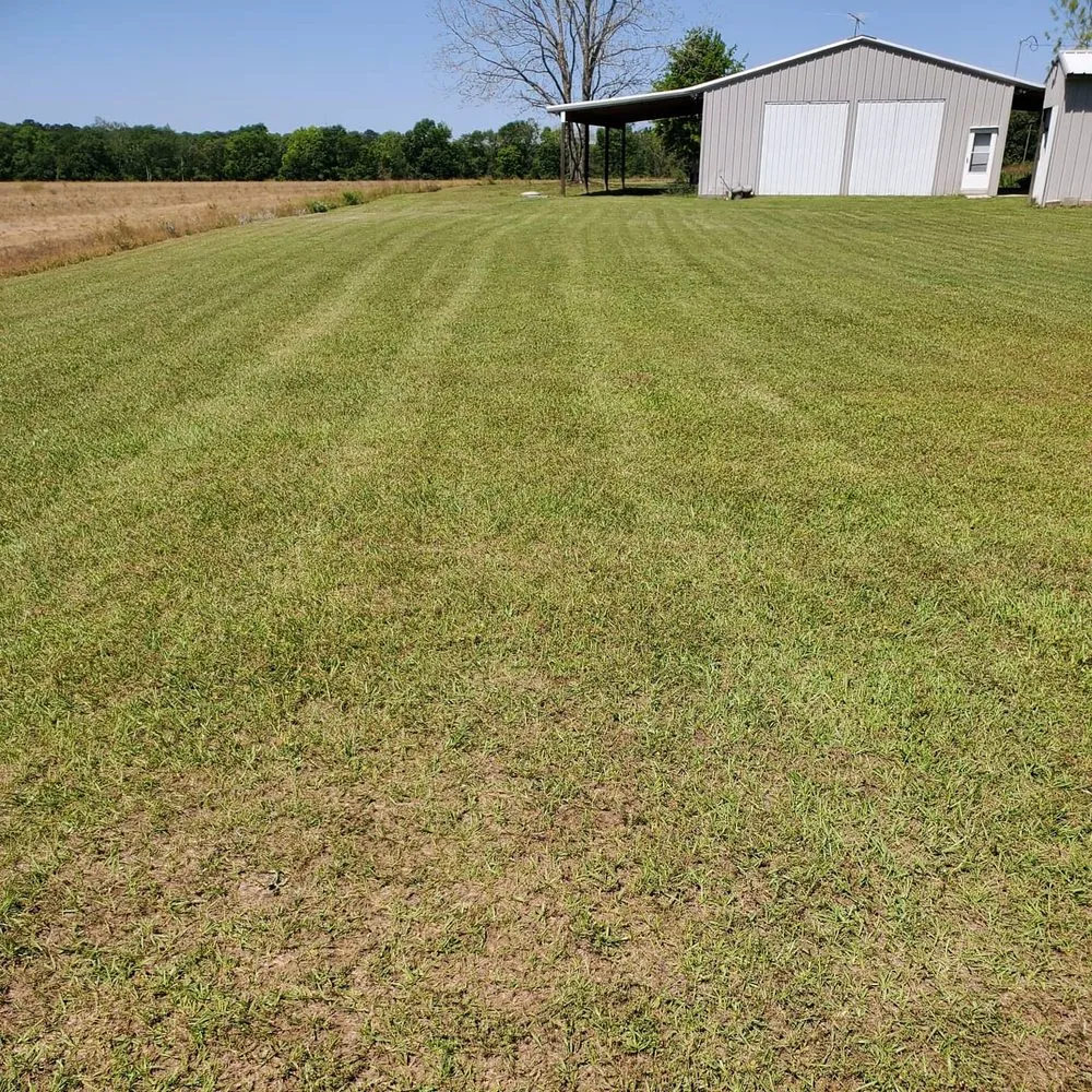 Professional landscape installation experts serving Slocomb, AL - Tew Lawn Care