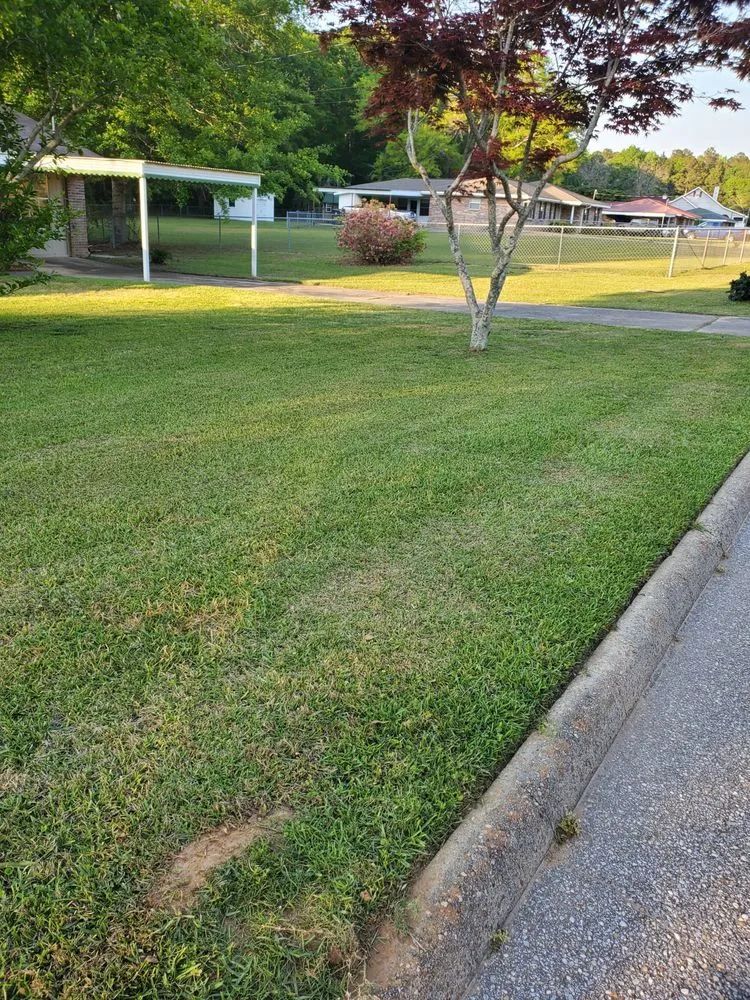Trusted landscape design in Slocomb, AL by Tew Lawn Care