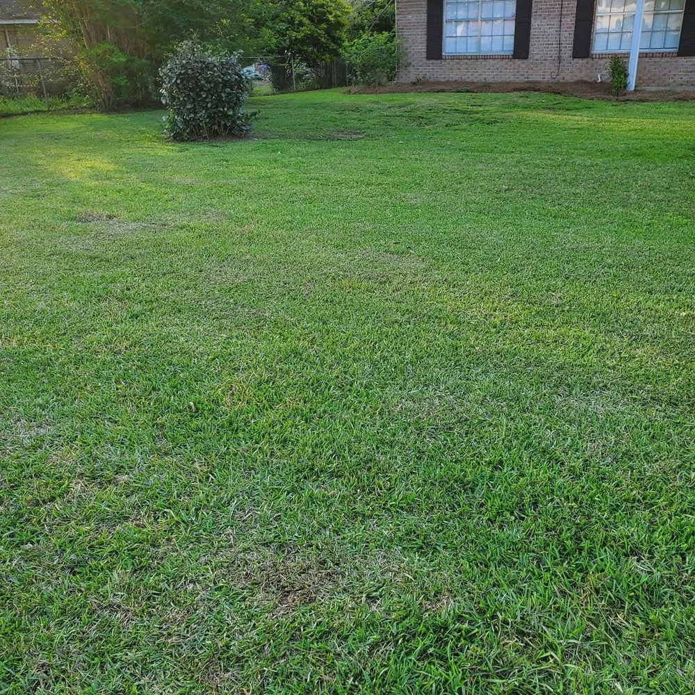 Top-rated yard cleanup service in Slocomb, AL - Tew Lawn Care
