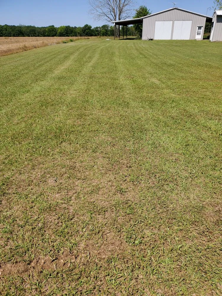 Reliable landscaping services in Slocomb, AL - Tew Lawn Care