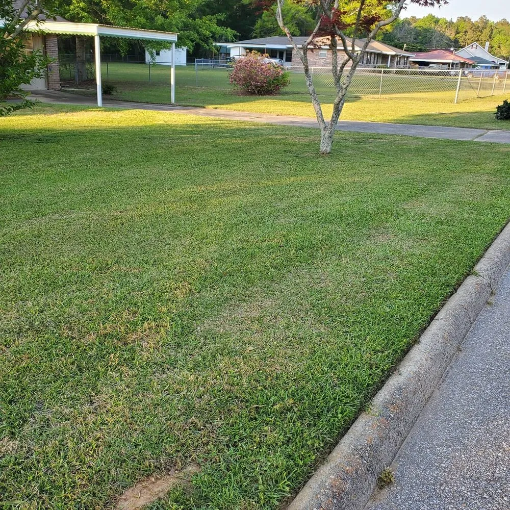 Top-rated lawn mowing service in Slocomb, AL - Tew Lawn Care