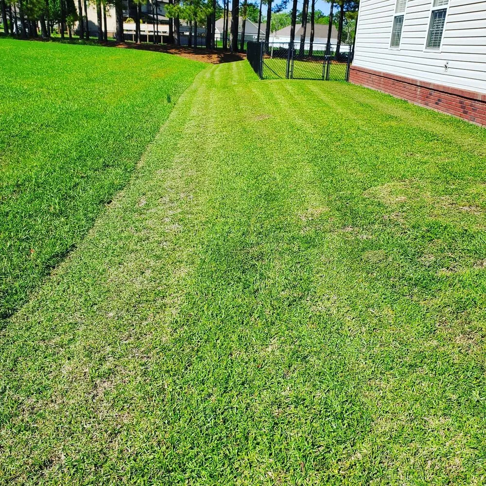 Reliable lawn mowing service in Slocomb, AL - Tew Lawn Care