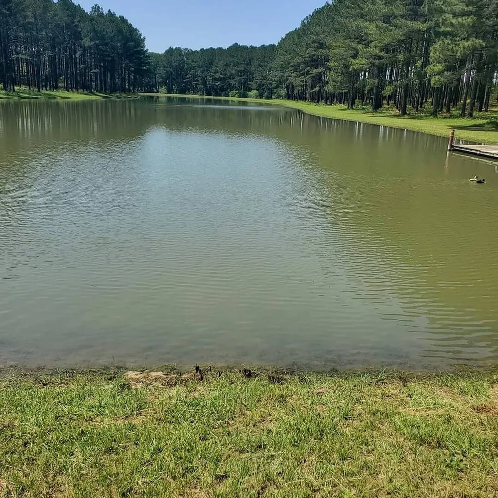 Reliable landscape design experts serving Slocomb, AL - Tew Lawn Care