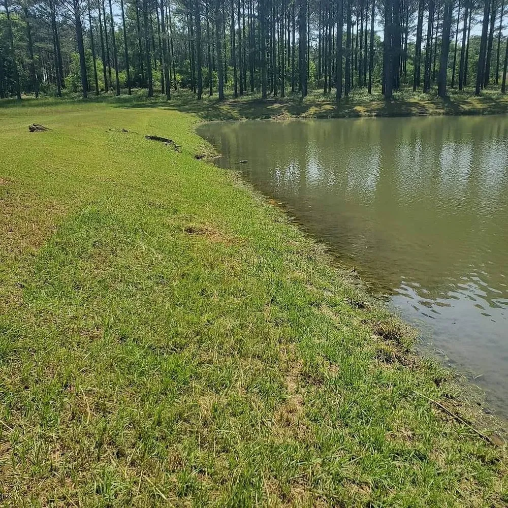 Expert landscaping services for outdoor upgrades in Slocomb, AL by Tew Lawn Care