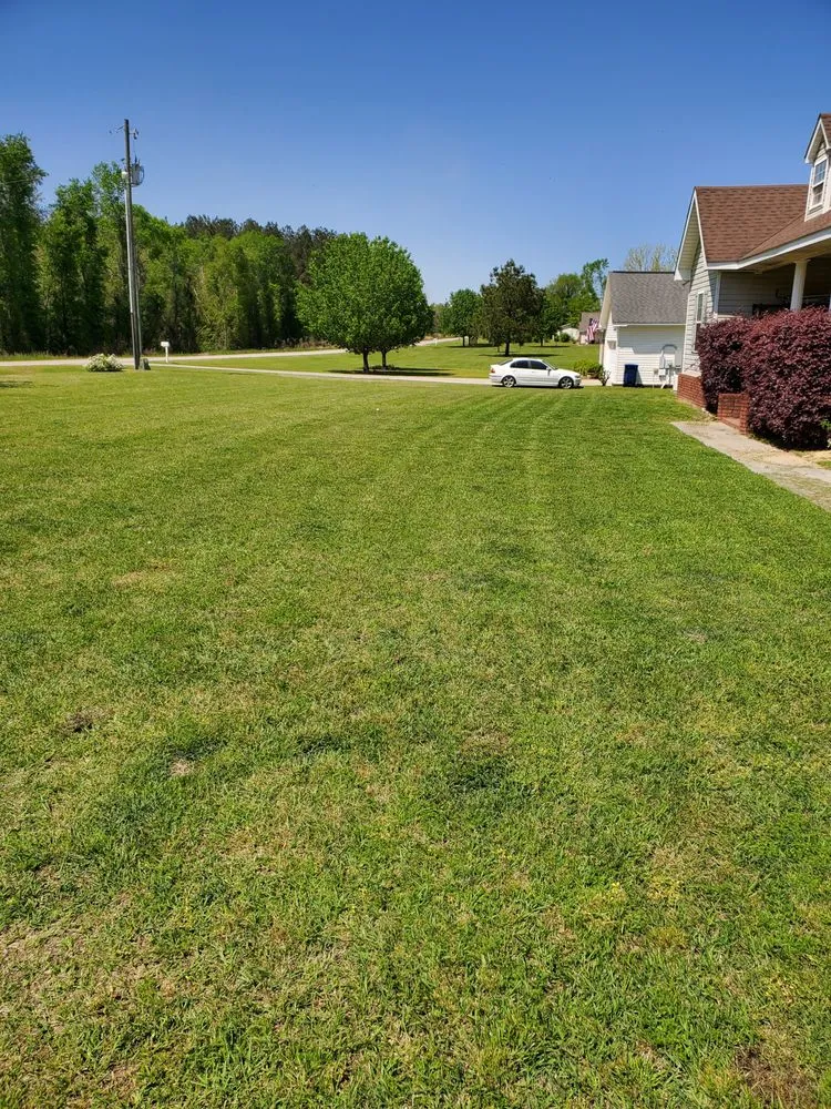 Expert landscape design experts serving Slocomb, AL - Tew Lawn Care