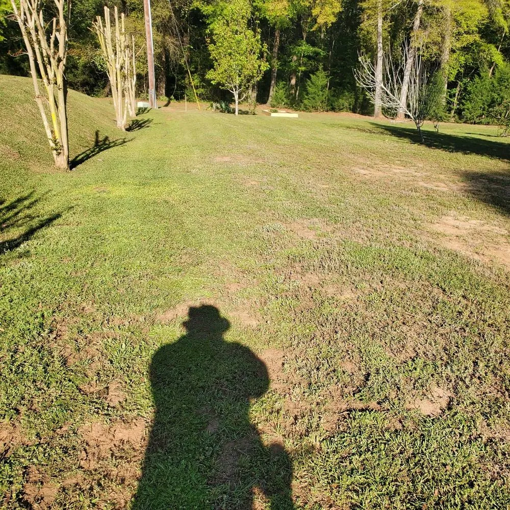 Local residential landscaping in Slocomb, AL - Tew Lawn Care