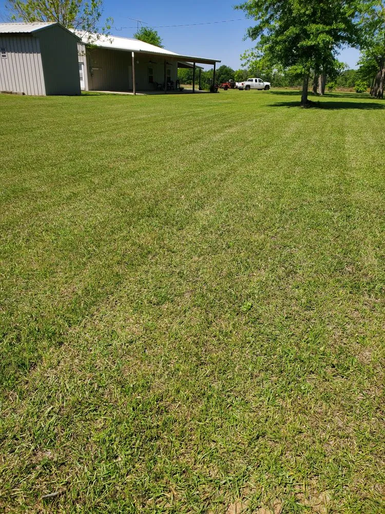 Top-rated landscape installation experts serving Slocomb, AL - Tew Lawn Care