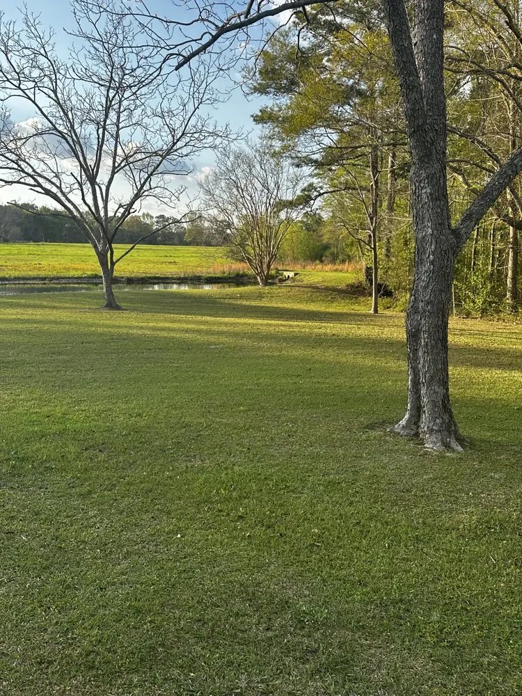 Expert outdoor landscaping for outdoor upgrades across Slocomb, AL - Tew Perfection Lawn Care