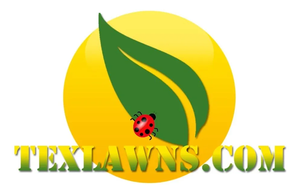 Top-rated yard cleanup service in Katy, TX by Tex Lawns