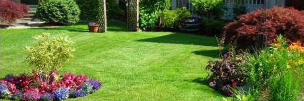 Custom lawn care service in Katy, TX by Tex Lawns