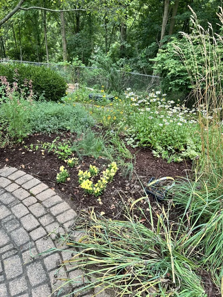 Affordable landscaping services for homes across Grass Lake, MI - Tex Mex Lawn and Landscaping