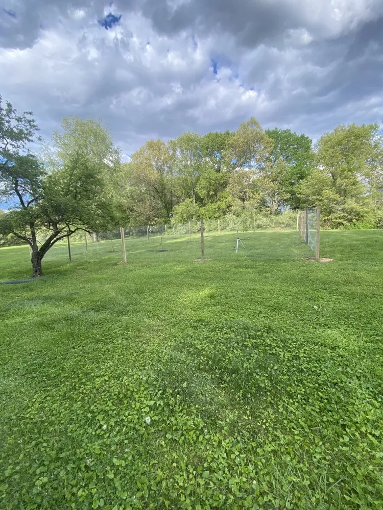 Trusted landscape design in Grass Lake, MI by Tex Mex Lawn and Landscaping