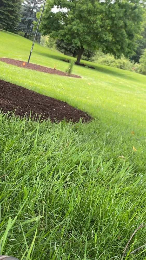 Reliable yard cleanup service experts serving Grass Lake, MI - Tex Mex Lawn and Landscaping