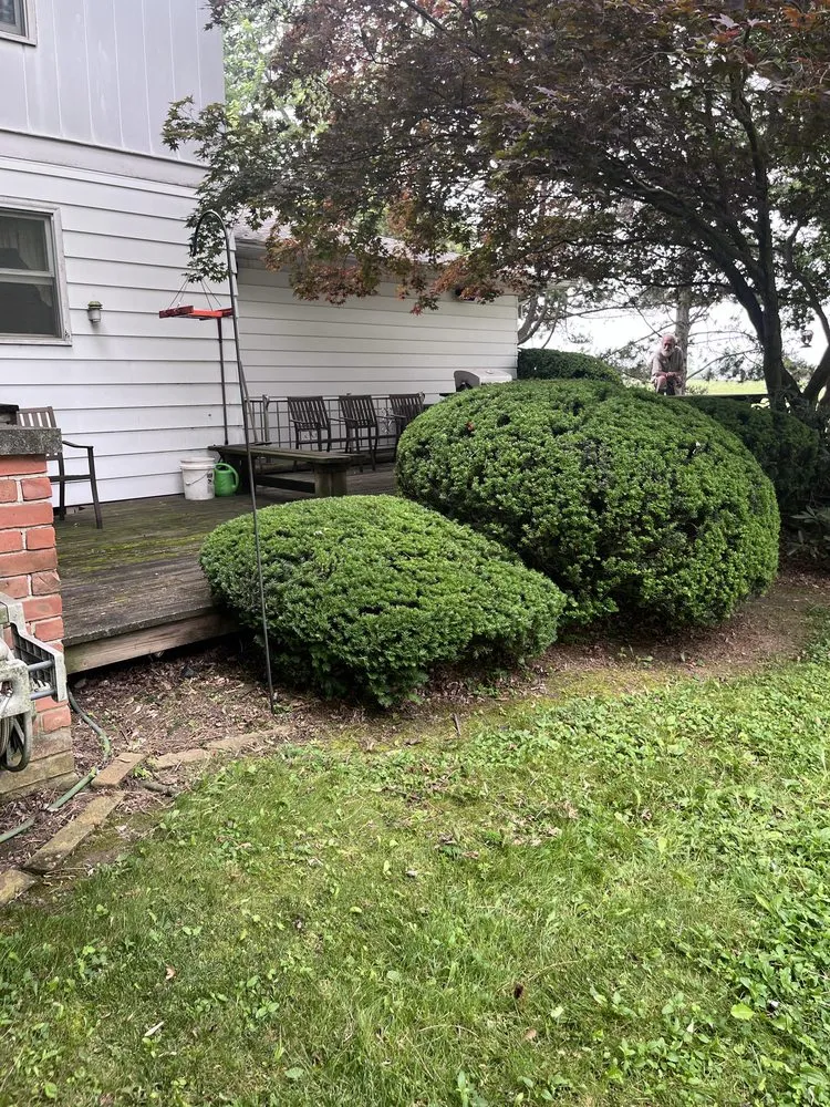 Reliable lawn care service in Grass Lake, MI - Tex Mex Lawn and Landscaping
