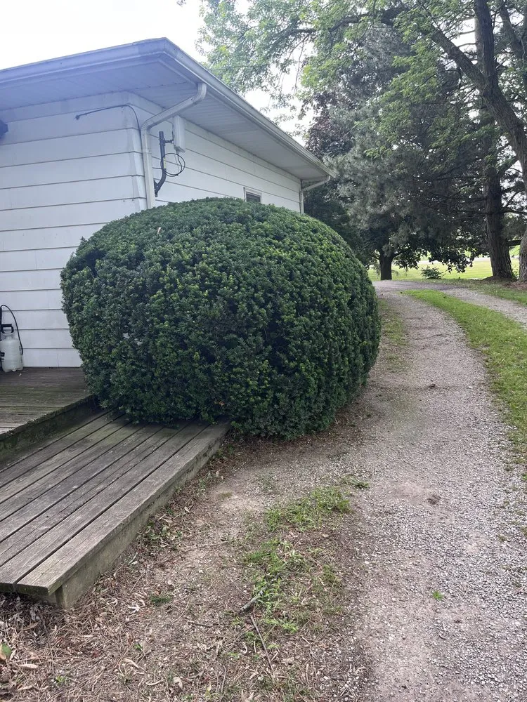 Professional landscape installation for homes in Grass Lake, MI by Tex Mex Lawn and Landscaping