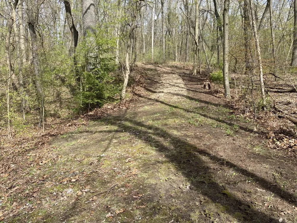 Expert residential landscaping for outdoor upgrades across Grass Lake, MI - Tex Mex Lawn and Landscaping