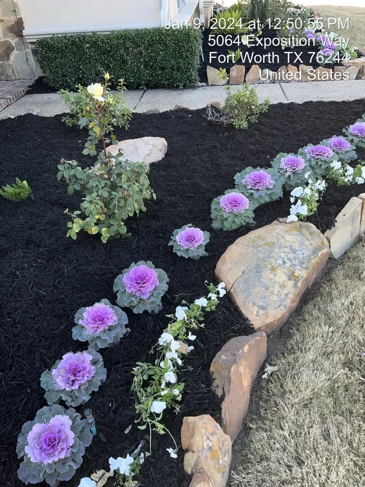 Local yard maintenance experts serving Richland Hills, TX - Tex Pro Lawn Care Landscaping