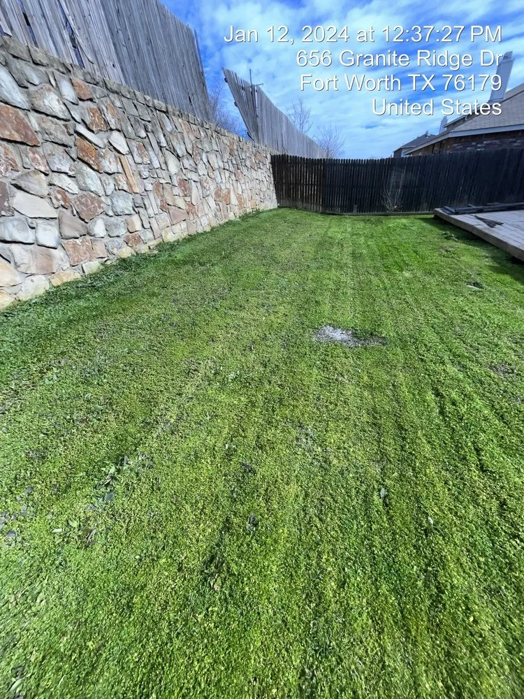 Custom yard maintenance near you in Richland Hills, TX by Tex Pro Lawn Care Landscaping