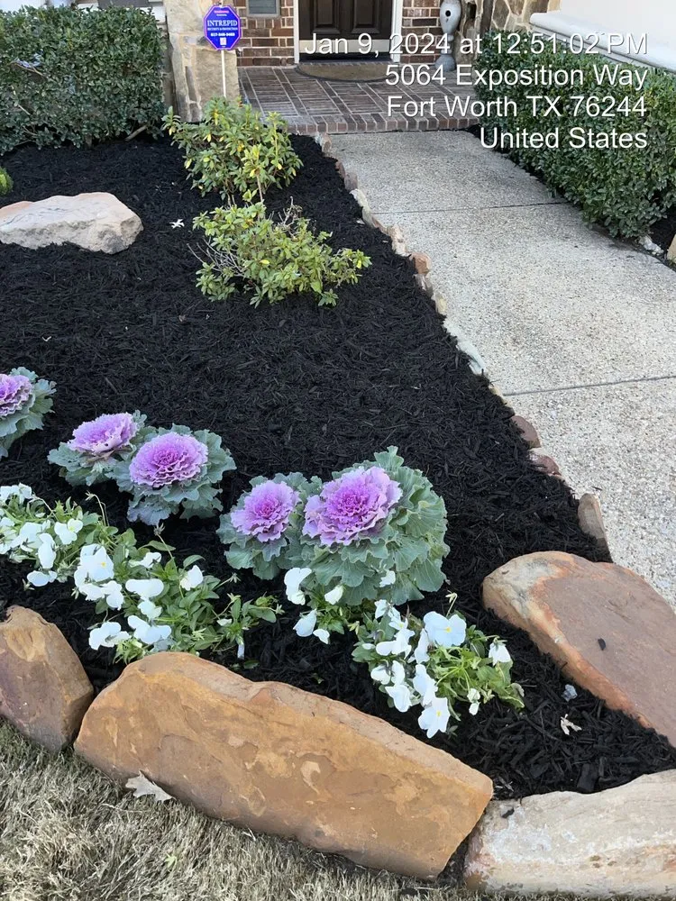 Local lawn mowing service experts serving Richland Hills, TX - Tex Pro Lawn Care Landscaping