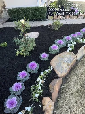 Tex Pro Lawn Care Landscaping