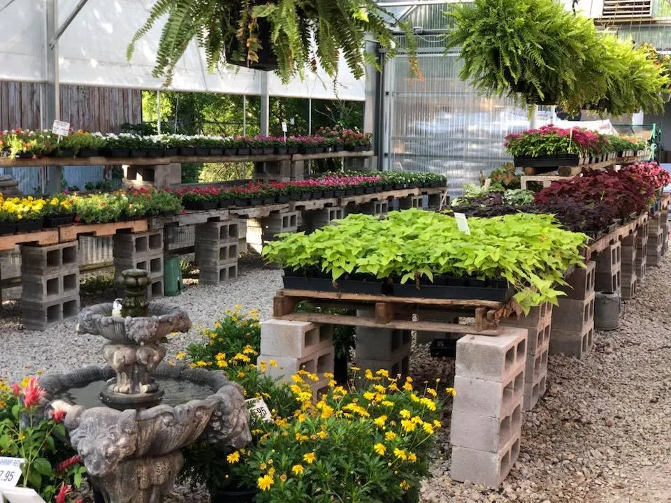 Top-rated lawn care service near you across Ennis, TX - Tex-Scapes Nursery and Landscaping