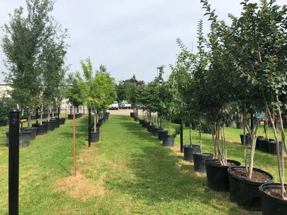 Reliable lawn mowing service in Ennis, TX by Tex-Scapes Nursery and Landscaping