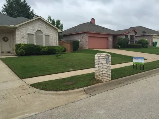 Tex Top Lawn Care Services Logo